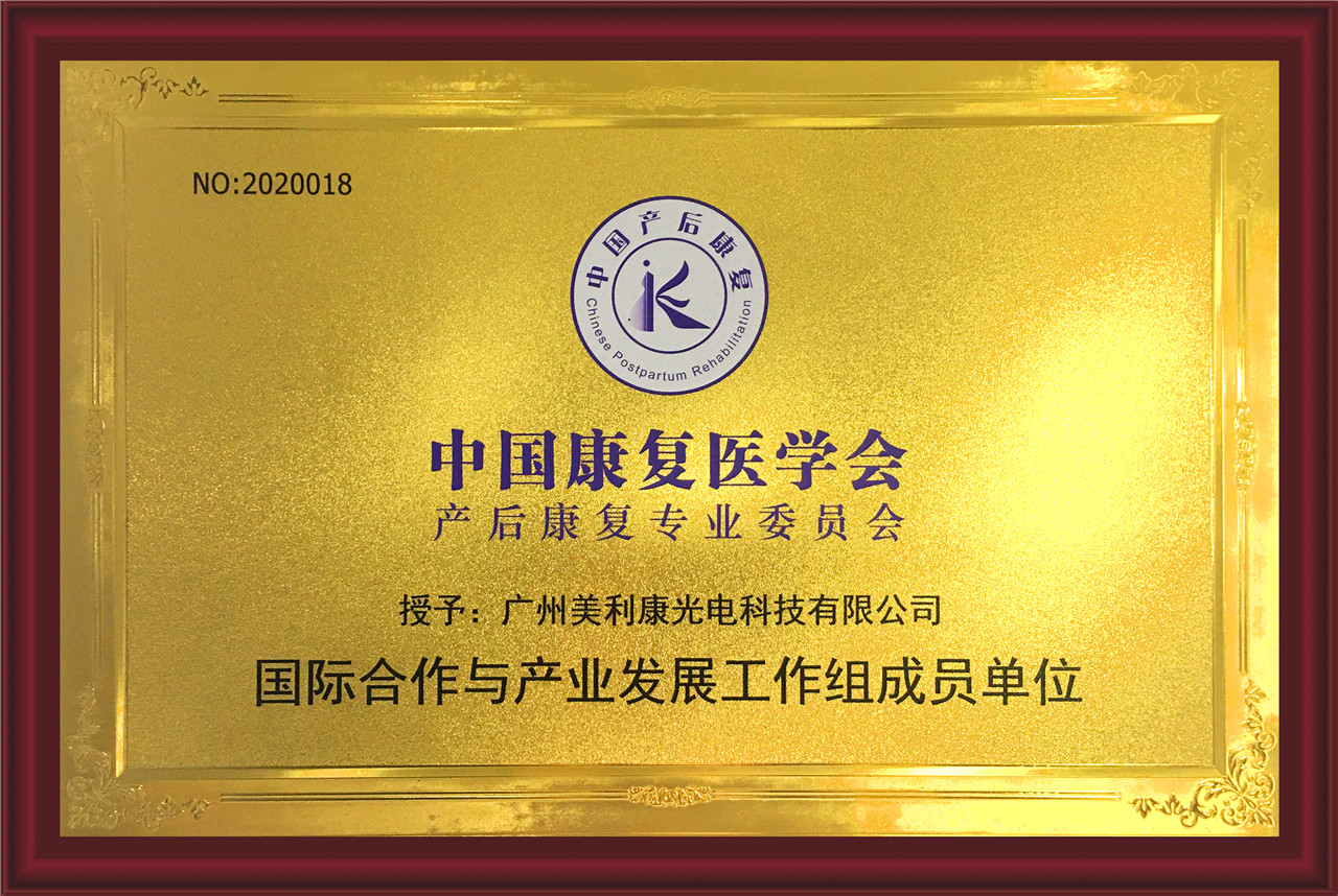 Member of International Cooperation and Industry Development Working Group of Chinese Association of Rehabilitation Medicine